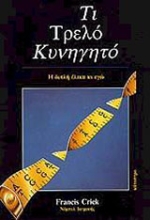 Εικόνα Τι τρελό κυνηγητό