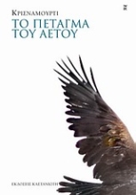 Εικόνα Το πέταγμα του αετού
