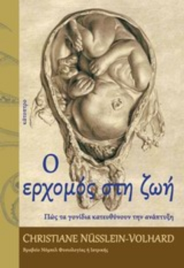 Εικόνα Ο ερχομός στη ζωή