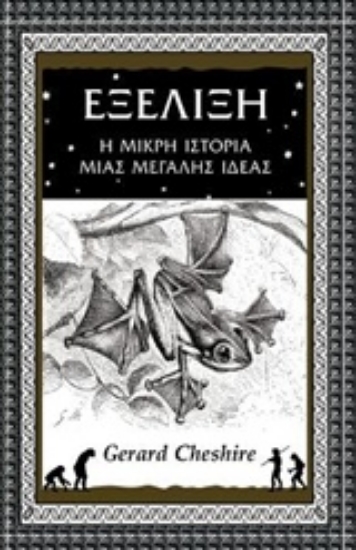 Εικόνα Εξέλιξη