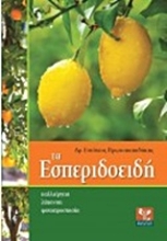 Εικόνα Τα εσπεριδοειδή
