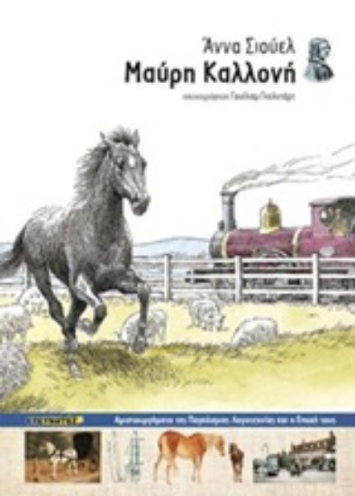 Εικόνα Μαύρη Καλλονή