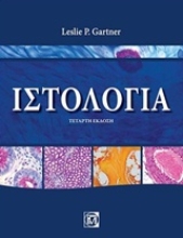 Εικόνα Ιστολογία