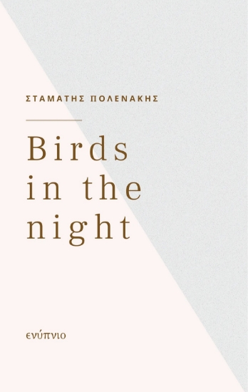 271208-Birds in the night