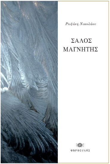 272243-Σαλός μαγνήτης