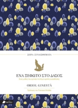 275644-Ένα ξέφωτο στο δάσος