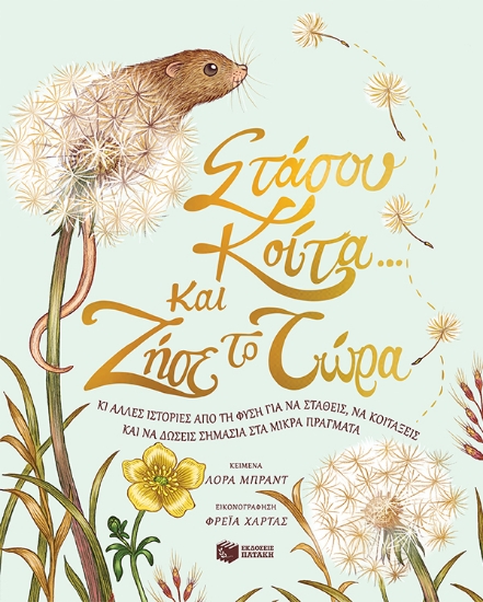 275968-Στάσου, κοίτα... και ζήσε το τώρα