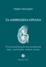 276251-Τα ανθρώπινα όργανα