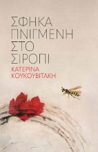 276943-Σφήκα πνιγμένη στο σιρόπι