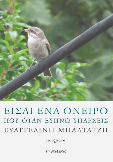 277553-Είσαι ένα όνειρο που όταν ξυπνώ υπάρχεις
