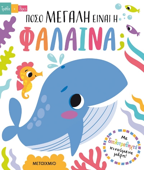 277774-Πόσο μεγάλη είναι η φάλαινα;