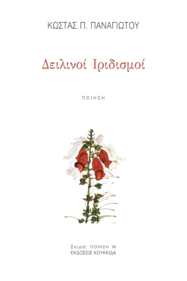 278567-Δειλινοί ιριδισμοί