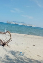 279460-Ερώτων απαύγασμα