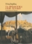 280724-Τα αρβανίτικα στην Αττική