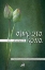 282943-Αμύριστα κρίνα