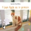 283627-Η μικρή Αγγέλα και το γατόσπιτο
