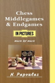 283911-Chess Middlegames & Endgames in Pictures