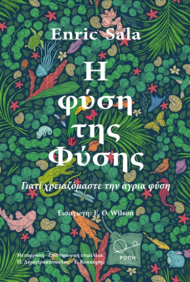 290554-Η φύση της Φύσης