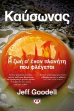 290587-Καύσωνας