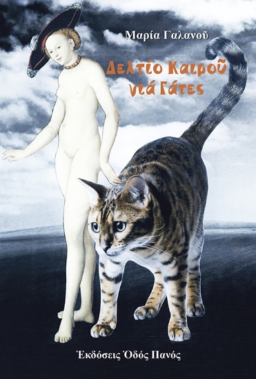 291704-Δελτίο καιρού για γάτες