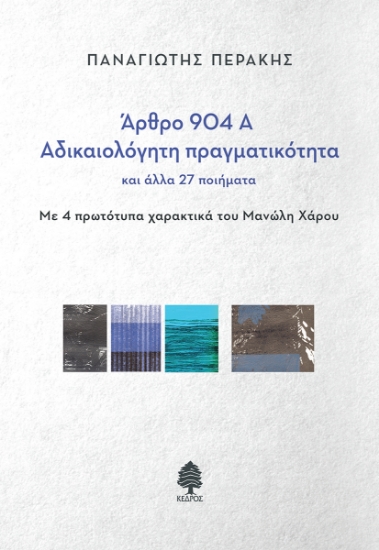 294733-Άρθρο 904Α - Αδικαιολόγητη πραγματικότητα