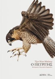 296571-Ο πετρίτης