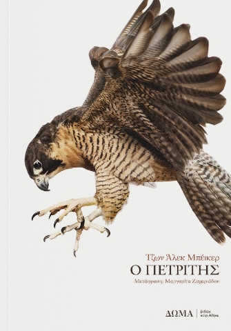 296571-Ο πετρίτης