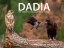 296752-Dadia