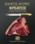 297608-Οδηγός αγοράς κρέατος