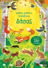 291550-Δάσος