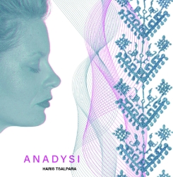 299072-Anadysi