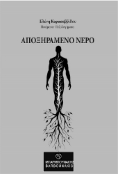 300163-Αποξηραμένο νερό