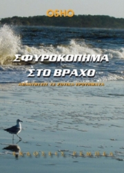 Εικόνα Σφυροκόπημα στο βράχο