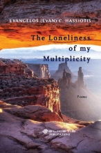 302957-The Loneliness of my Multiplicity