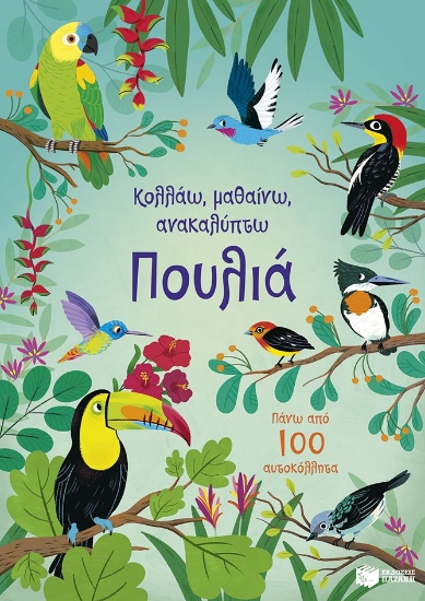 303746-Κολλάω, μαθαίνω, ανακαλύπτω: Πουλιά