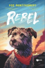 303905-Rebel