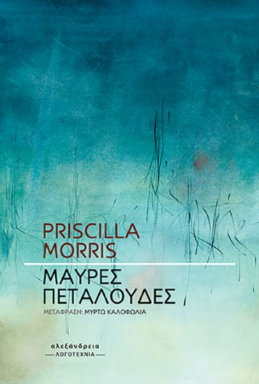 304272-Μαύρες πεταλούδες