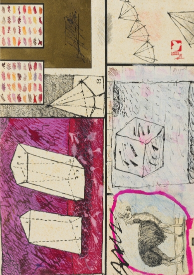 305546-Άγρια άλγεβρα