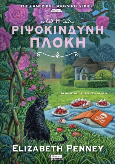 306205-Η ριψοκίνδυνη πλοκή