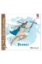 306473-The 12 gods of Olympus - Hermes
