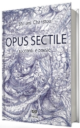 309094-Opus sectile