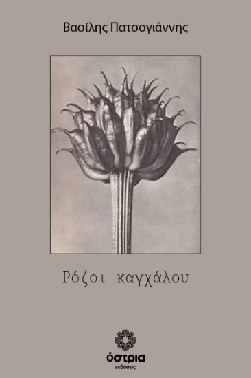 309727-Ρόζοι καγχάλου