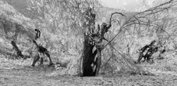 309961-Η φωνή της σιωπής