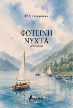 310783-Φωτεινή νύχτα